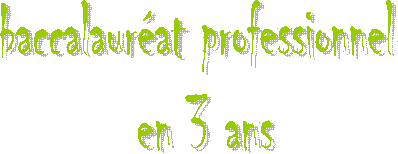 baccalaur�at professionnel 
en 3 ans

